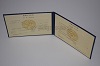 Стоимость диплома техникума УзбекАССР 1975-1991 г. в Полысаево (Кемеровская Область)
